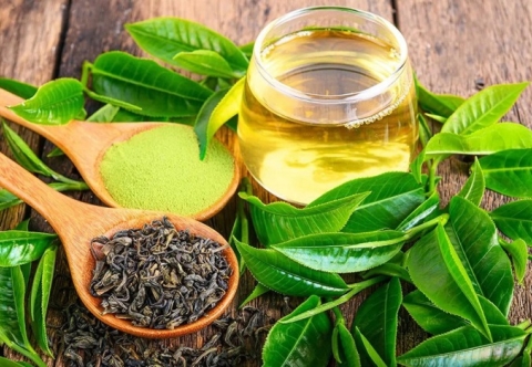 Vì sao nước pha trà xanh nên có nhiệt độ dưới 100 độ C?